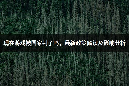 现在游戏被国家封了吗，最新政策解读及影响分析