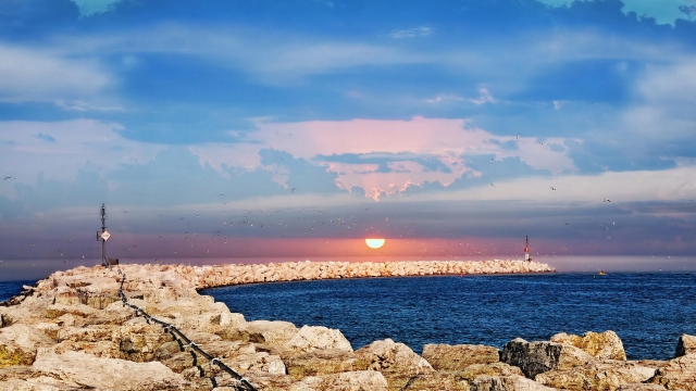 2020年中国游戏领域未成年人保护白皮书